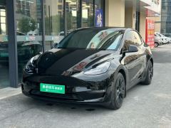 Tesla Model Y Standard endurance rear-wheel drive - photo 1