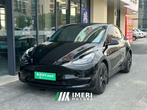 2021 Tesla Model Y Standard endurance rear-wheel drive - автомобиль из Китая
