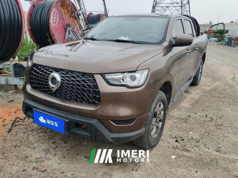 2021 Great Wall Cannon Business 2.0T Manual 2WD Large Double Elite Diesel - автомобиль из Китая