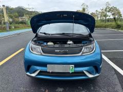 BYD Dolphin 405km Stylish Edition - ფოტო 18