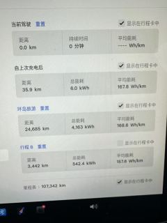 Tesla Model Y 554km Rear-Wheel Drive Edition - фото 15