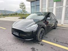 Tesla Model Y 554km Rear-Wheel Drive Edition - фото 20