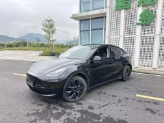 Tesla Model Y 554km Rear-Wheel Drive Edition - фото 4