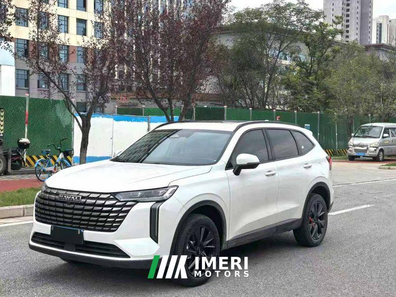 Haval H6 2.0T Two-Wheel Drive Max - car from China