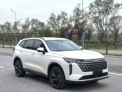 Haval H6 2.0T Two-Wheel Drive Max - photo 3
