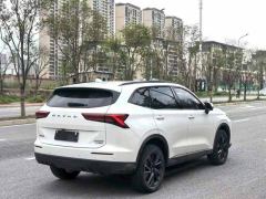 Haval H6 2.0T Two-Wheel Drive Max - photo 8