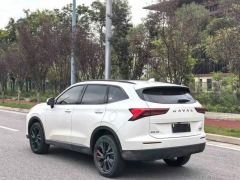 Haval H6 2.0T Two-Wheel Drive Max - photo 9