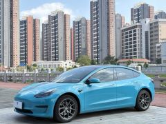Tesla Model 3 556km Rear-Wheel Drive Edition - фото 1