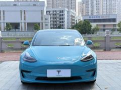 Tesla Model 3 556km Rear-Wheel Drive Edition - фото 2
