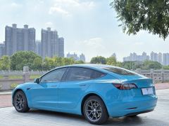 Tesla Model 3 556km Rear-Wheel Drive Edition - фото 7