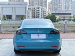 Tesla Model 3 556km Rear-Wheel Drive Edition - фото 8