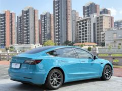 Tesla Model 3 556km Rear-Wheel Drive Edition - фото 9