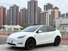 Tesla Model Y 660km Long Range AWD - photo 1