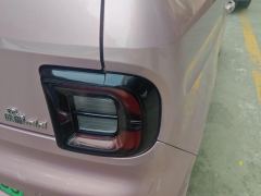 Geely Galaxy Panda mini 200km Endurance Bear - ფოტო 5