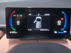 BYD Seagull 305km Free Version - photo 20