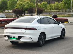 BYD Qin PLUS EV 400km Lingchang version - фото 9