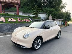 Ora Great Wall Good Cat 401km Standard Range Athena version Ternary Lithium - ფოტო 1