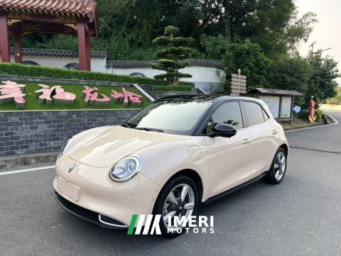 2021 Ora Great Wall Good Cat 401km Standard Range Athena version Ternary Lithium - ავტომობილი ჩინეთიდან