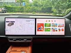 Li Auto L6 Pro - ფოტო 10