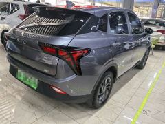 Neta Nezha V Trend 300 Lite Ternary Lithium - ფოტო 6
