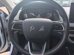 Hongqi E-QM5 431km Basic travel version - photo 18