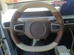 Geely Galaxy Panda mini 200km Endurance Bear - photo 18