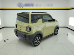 Geely Galaxy Panda 200km Panda Knight - ფოტო 5