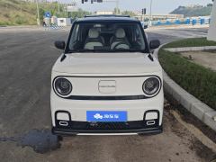 Geely Galaxy Panda 210km Panda Karting - ფოტო 3