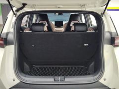 BYD Seagull Honor Edition 405km Flying Edition - photo 19