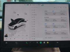 Tesla Model 3 675km Performance High-Performance AWD Version - ფოტო 20