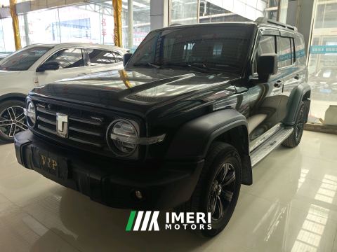 2023 Tank 300 Off-Road Edition 2.0T Challenger - ავტომობილი ჩინეთიდან