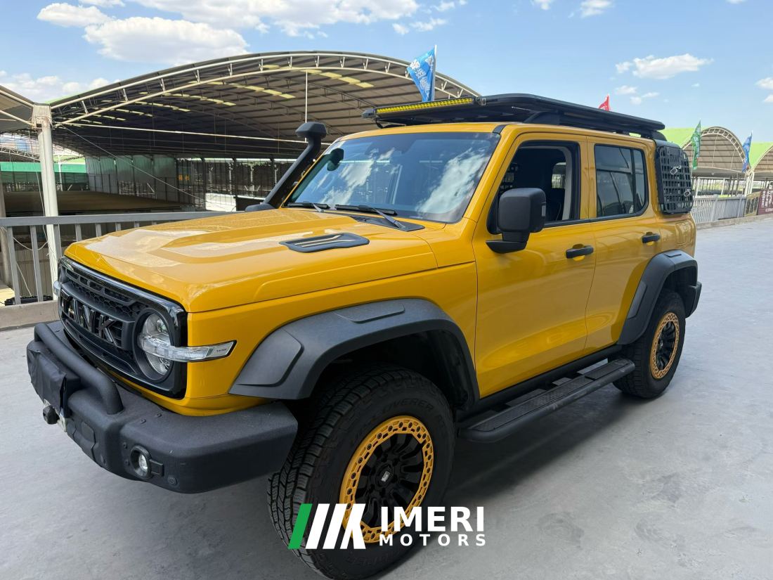 Tank 300 2.0T Frontier Limited Edition - car from China