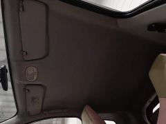 Chery Little Ant 20 Edition 408km - photo 14