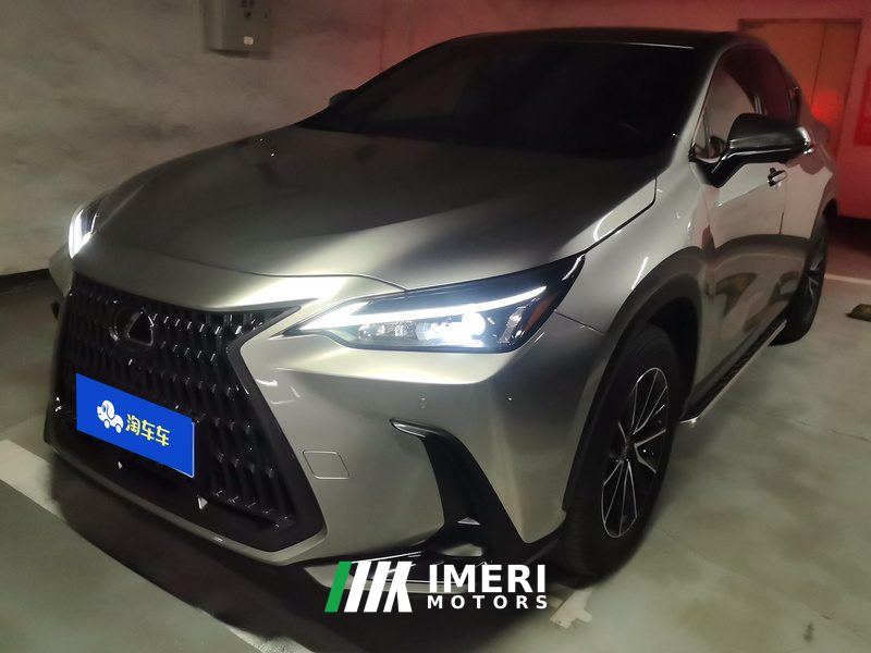 Lexus NX 260 Two-wheel drive Chuangchi version - car from China