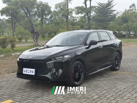 2022 Venucia V 260T DCT Dark Horse Version - Idol