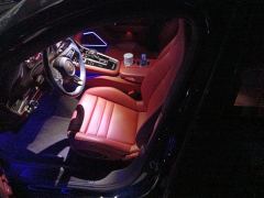 Porsche Panamera Platinum Edition 2.9T - фото 14