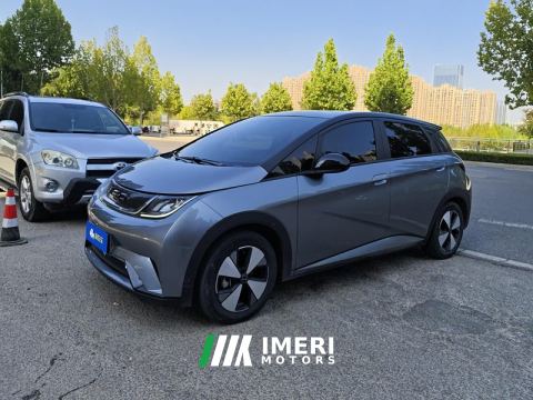 2023 BYD Dolphin 420km Stylish Edition