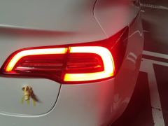 Tesla Model 3 556km Rear-Wheel Drive Edition - ფოტო 5