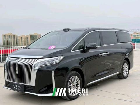 2025 WEY high mountain Wei Brand Alpine 1.5T 206km Alpine 87 seats