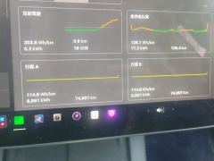 Tesla Model 3 556km Rear-Wheel Drive Edition - ფოტო 20