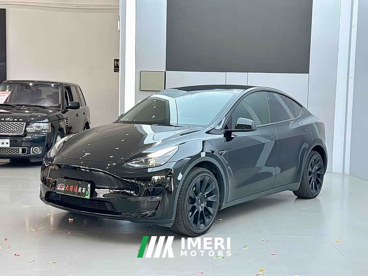 Tesla Model Y Long Range All-Wheel Drive - car from China