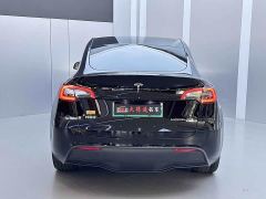 Tesla Model Y Long Range All-Wheel Drive - photo 4