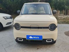 Geely Galaxy Panda mini 210km Yuanqi Bear - photo 3
