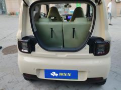 Geely Galaxy Panda mini 210km Yuanqi Bear - photo 7