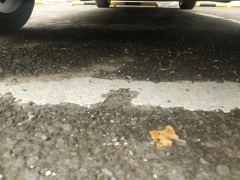 Mercedes-Benz E Class E-Class Facelift E 260 L Sport - photo 8