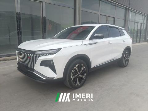 2024 Aeolus Dongfengfeng Shenhaoji Mach Power 1.5T Luxury Edition