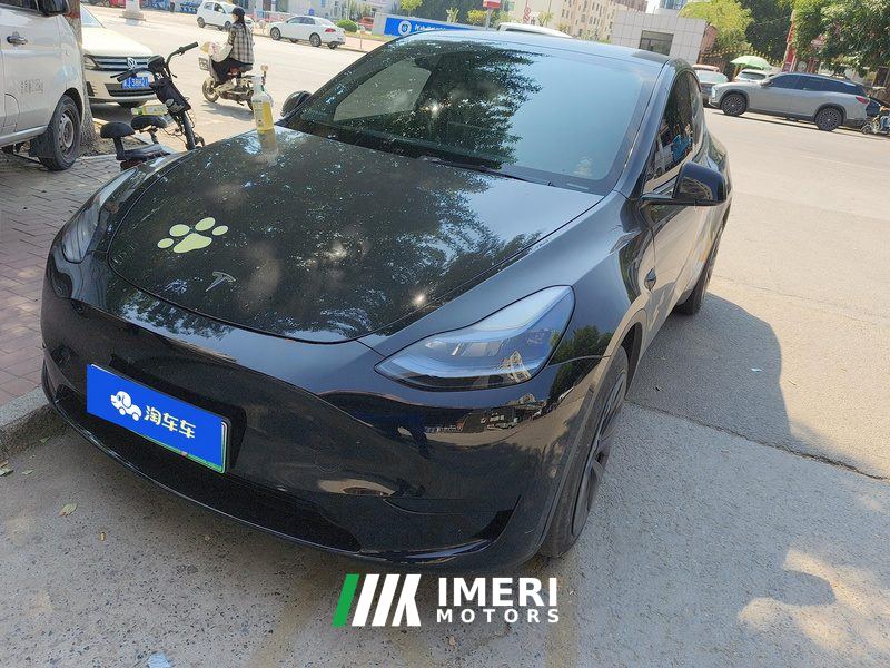 Tesla Model Y 554km Rear-Wheel Drive Edition - car from China