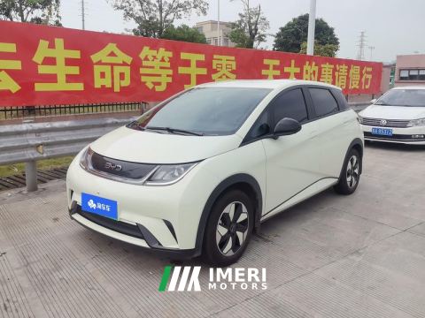 2025 BYD Dolphin 420km Free Version