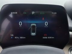 BYD Dolphin 420km Free Version - ფოტო 20