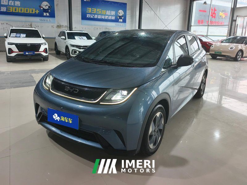 BYD Dolphin Honor Edition 420km Stylish Edition - car from China